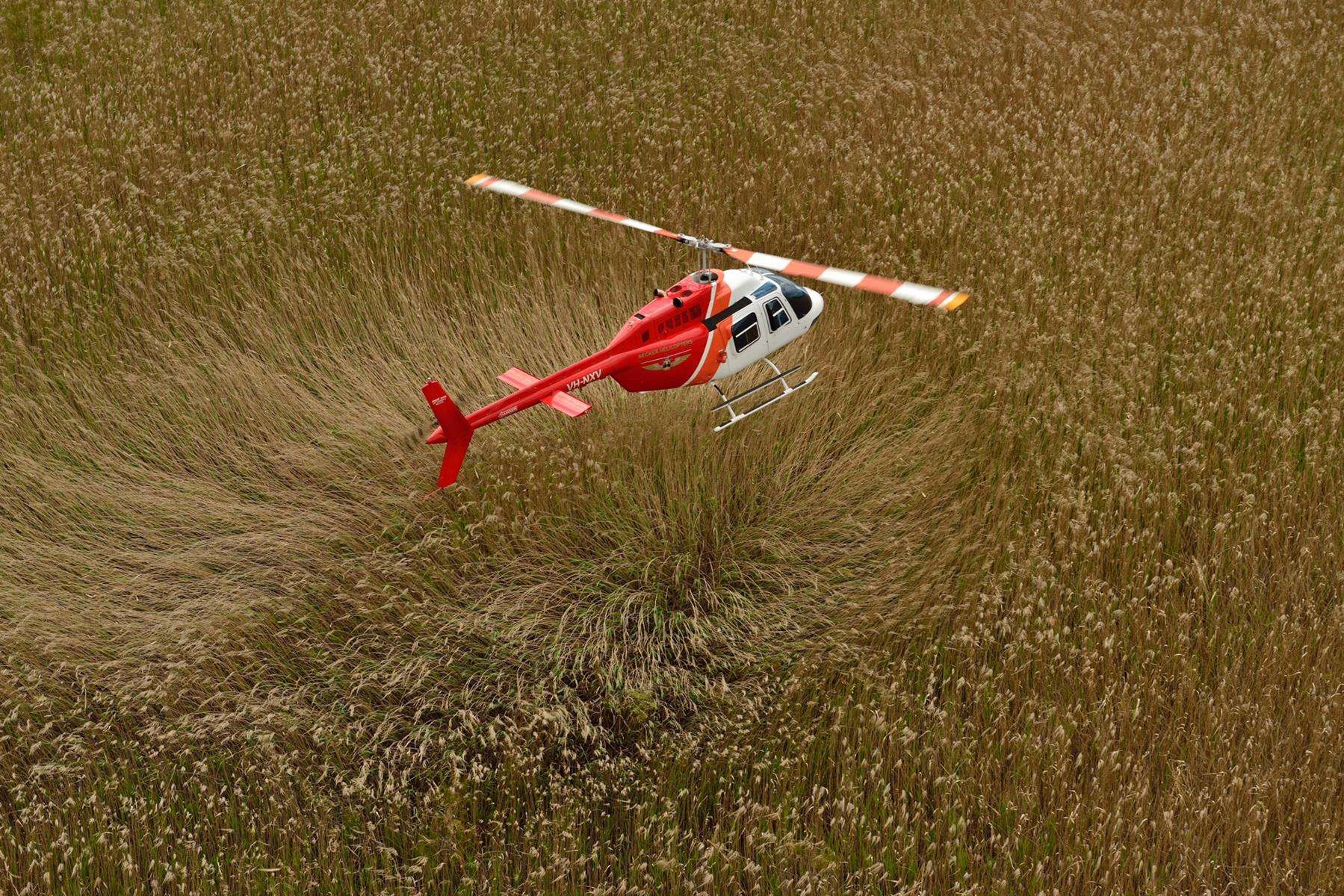 Helicopter Hovering over Long Grass